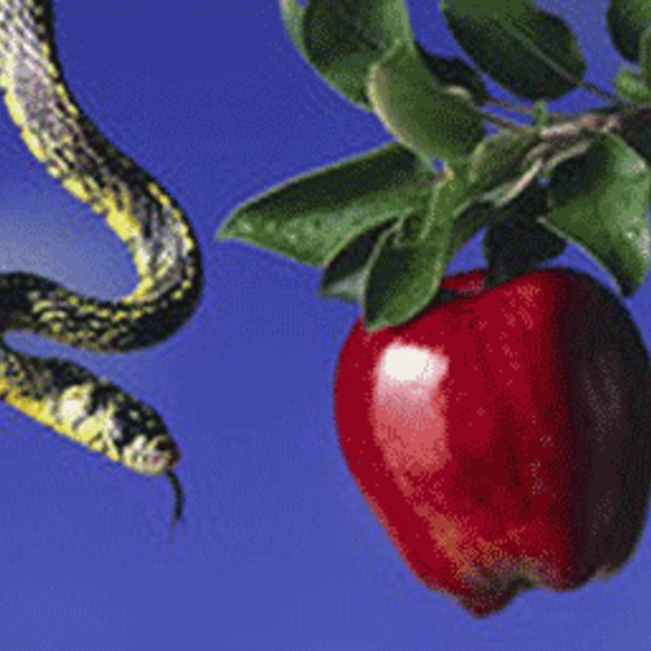 Serpent eve pomme1