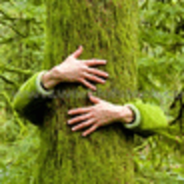 Hugging tree 92
