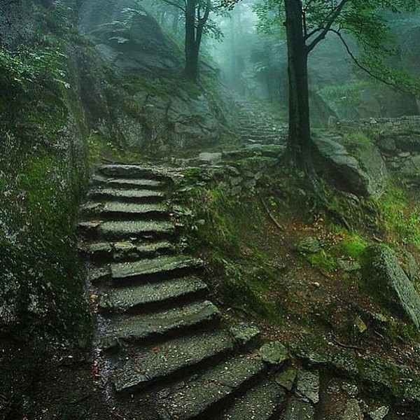 Follow  abandonedglobe for the most interesting forgotten places on earth old stairway leading to th