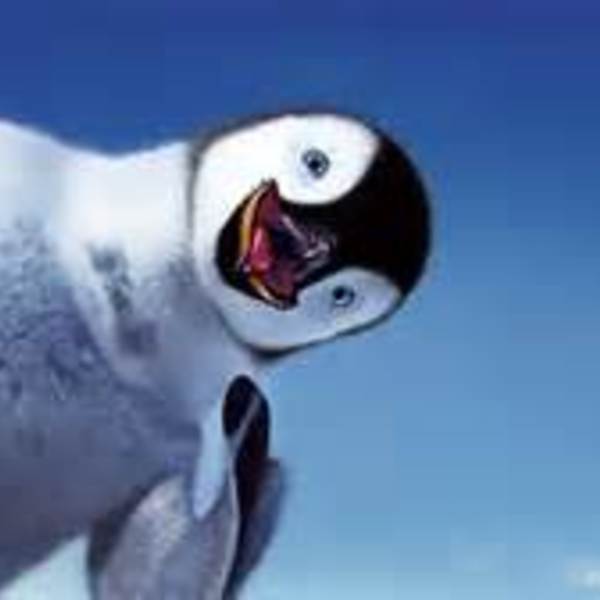 Th pingouin