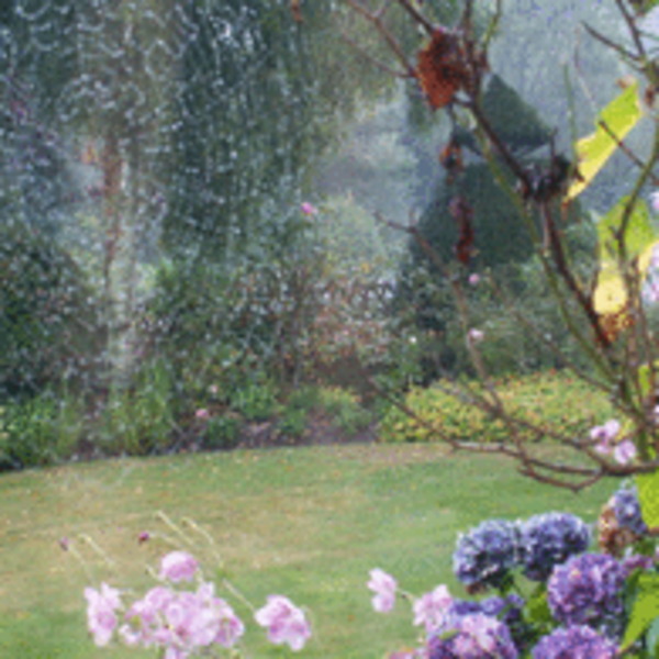 Jardin sous la pluie 195