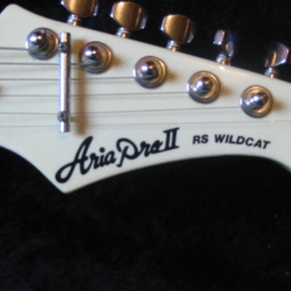 Ariawildcat1 465