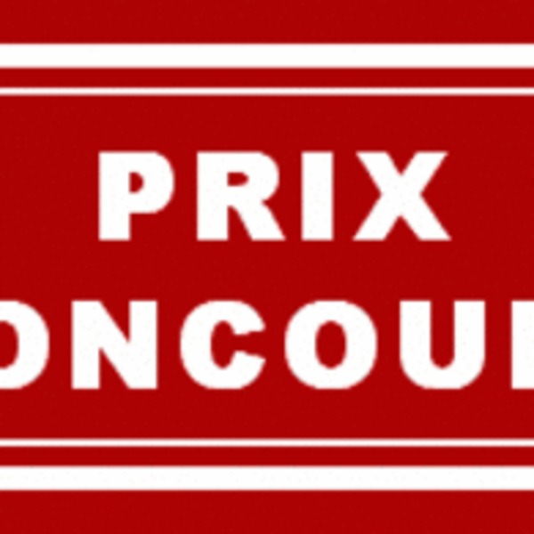 Prix goncourt1286339642 290x158 195