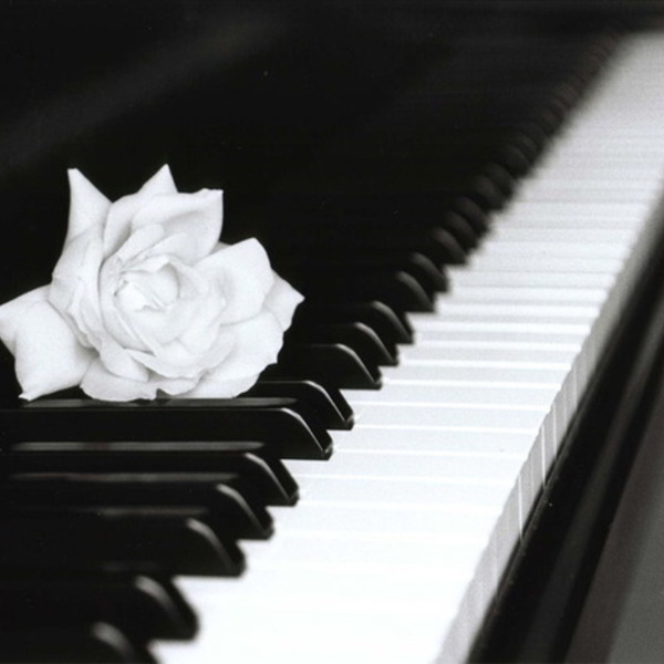 1461 piano tastiera