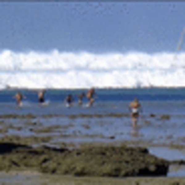 Le tsunami de sumatra en 2004 avait cause 92
