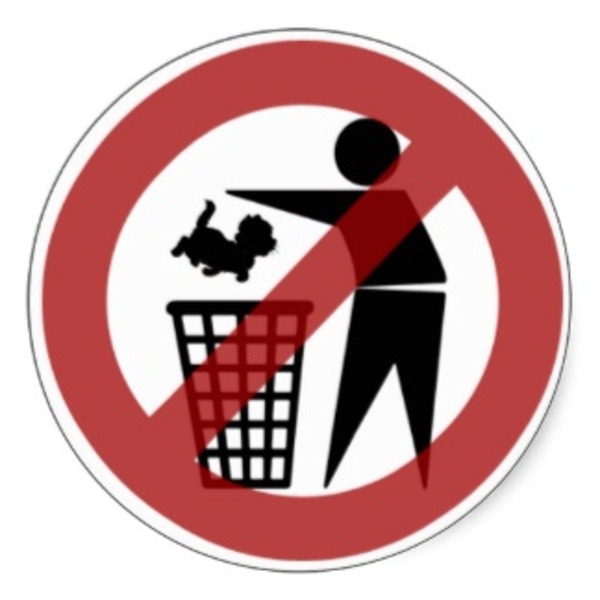 Ne pas mettre de chat dans la poubelle