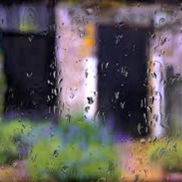 Jardin sous la pluie