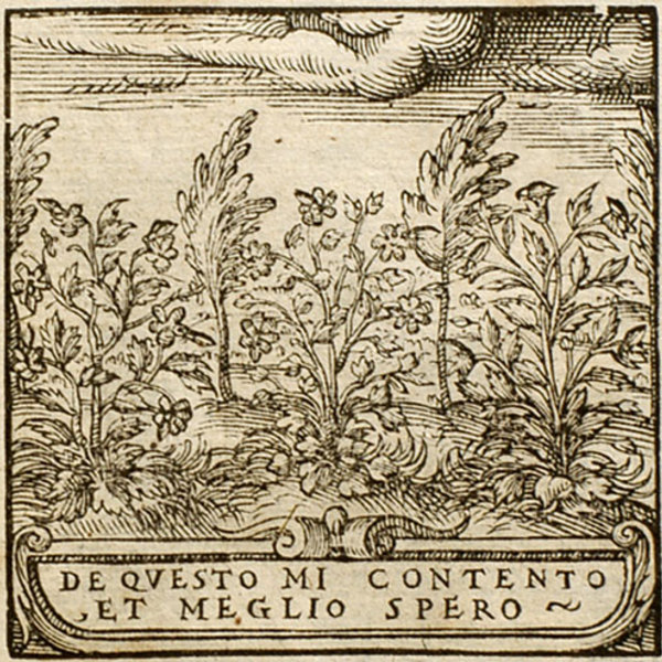 Pictura of junius  hadrianus emblemata (1565) exiguo contentus  potiora sperans