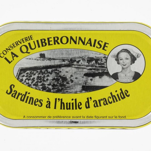 Sard sardines