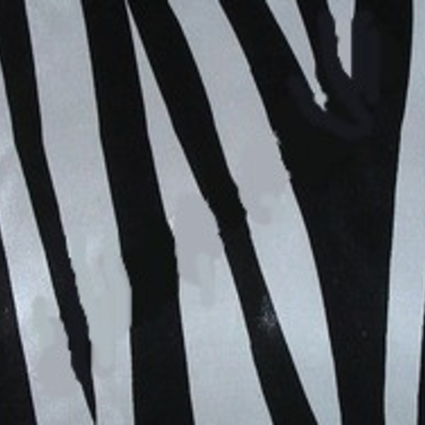 1053 zebra chine