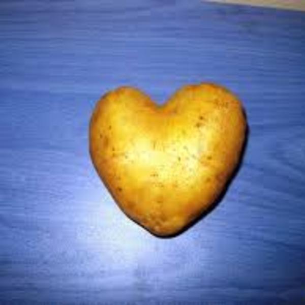 La patate amoureuse
