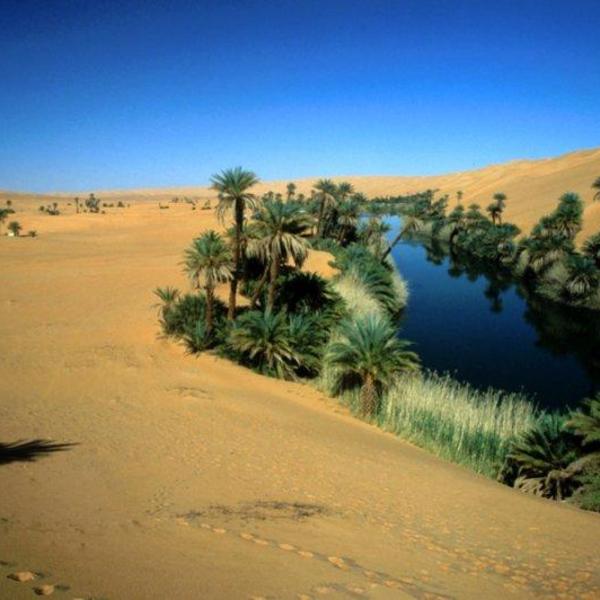 Libya oasis c02043413d2e475a807f80f8f0937583