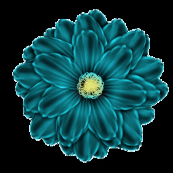 Fleur bleu 131208