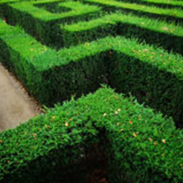 Labyrinthe de jardin 3439523