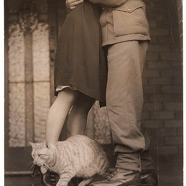 Wwii soldier kissing with cat