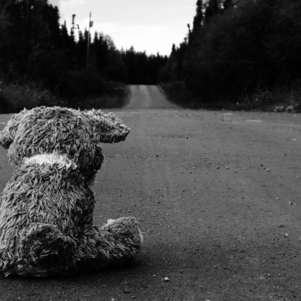 247155  road pavement teddy bear various wallpaper image black and white p