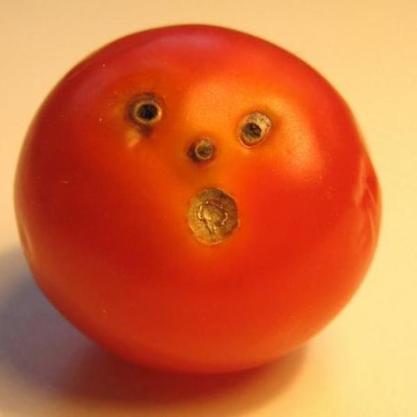 Tomato surprised