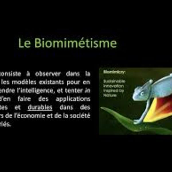 Biomim%c3%a9tisme