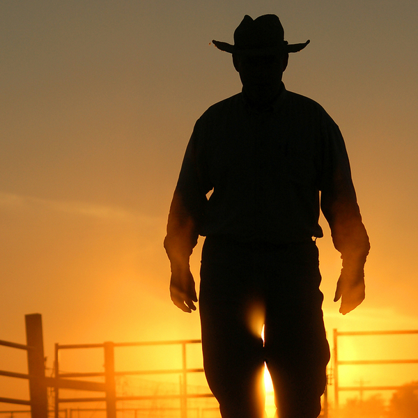 Sunset cowboy short