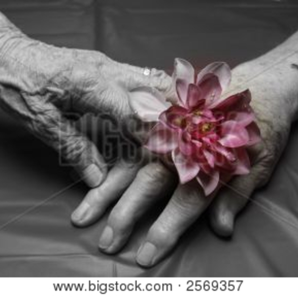 Old hands flower