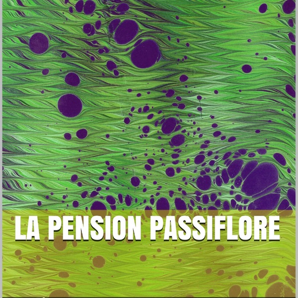 Pension passiflore 3