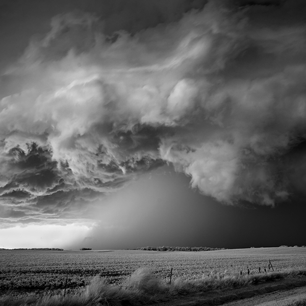Mitch dobrowner storm over field