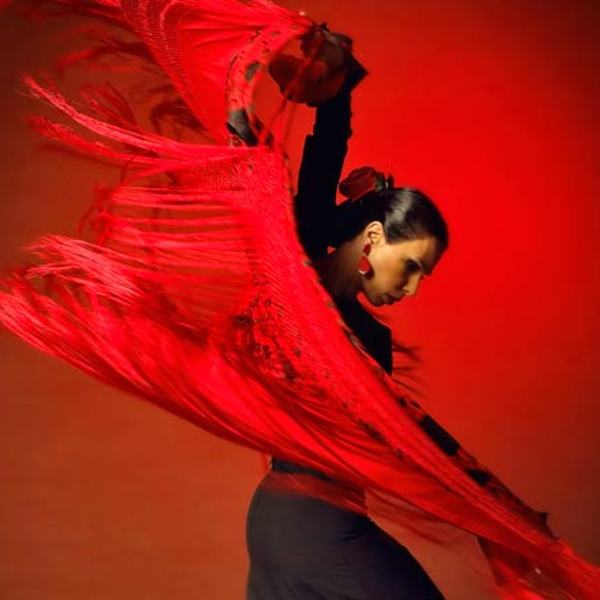 3204517 large voir un spectacle de flamenco a barcelone