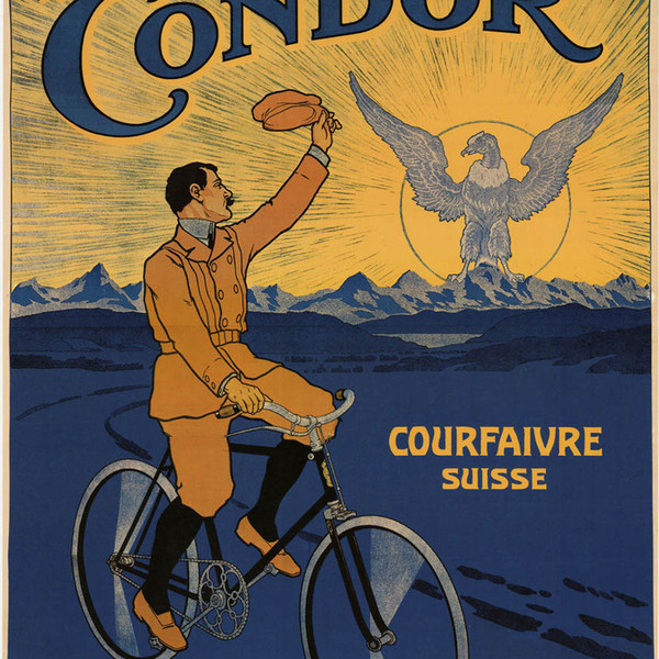 Condor