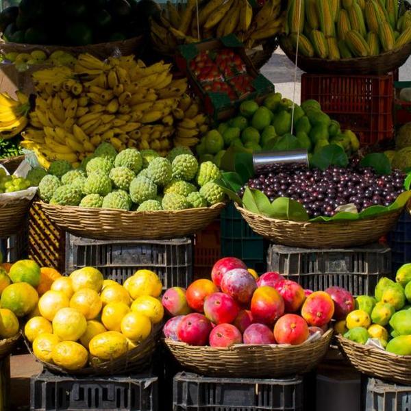 Fruits market colors large