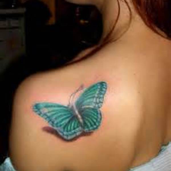 Th1aa30f61 tatou papillon