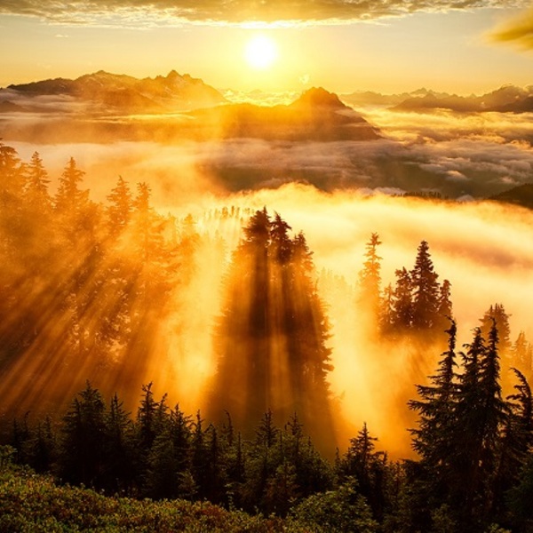 Top 10 landscape photos in 2013 by michael matti photography evergreen mountain lookout