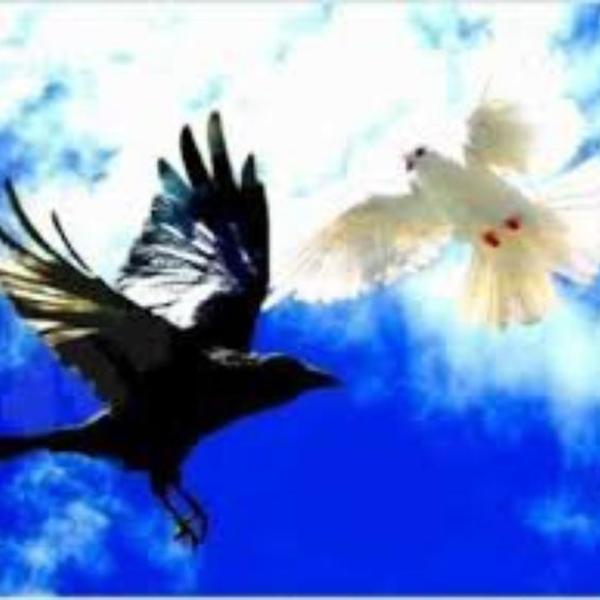 soprano le corbeau et la colombe