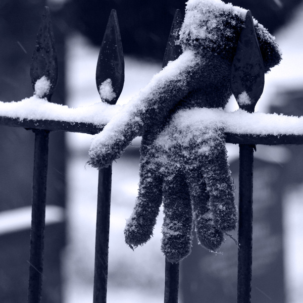 Snowy glove angela
