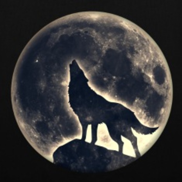Loup  pleine lune  wolf  moon  wild  sauvage  chie sacs et sacs a dos