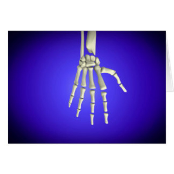 Image conceptuelle des os dans la main humaine 2 carte de voeux r2f4e1a11f9b948bbb34c0da6323c8d28 xvuak 8byvr 324