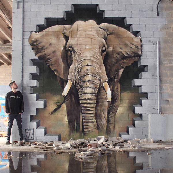 Elephant street art graffiti by xav