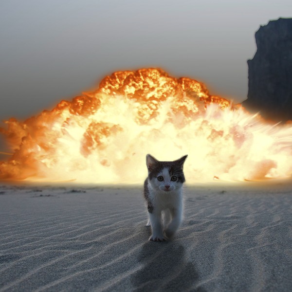 Photo de chaton explosion en arri%c3%a8re plan.