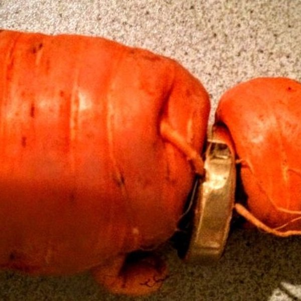 Alliance carotte