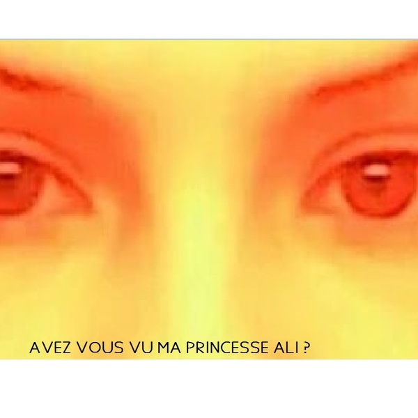 Avez vous revu ma princesse ali