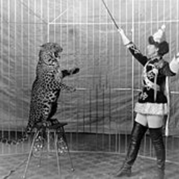 220px female animal trainer and leopard  c1906