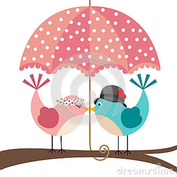 Couples mignons d oiseaux sous le parapluie 64736043