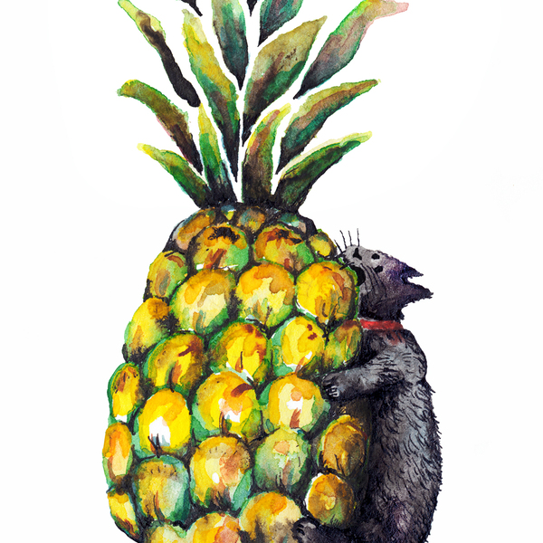 Pineapplecat 4x6 smaller