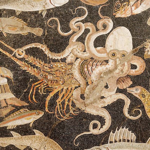 Mosaique du poulpe a pompei 55397ebb