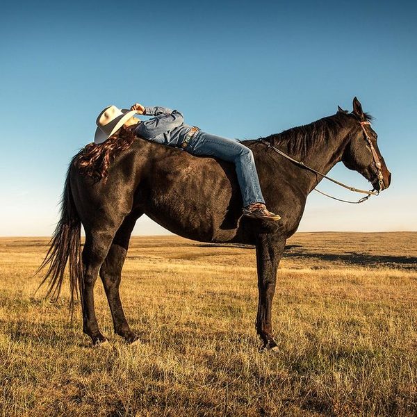 Cowgirl and horse photos