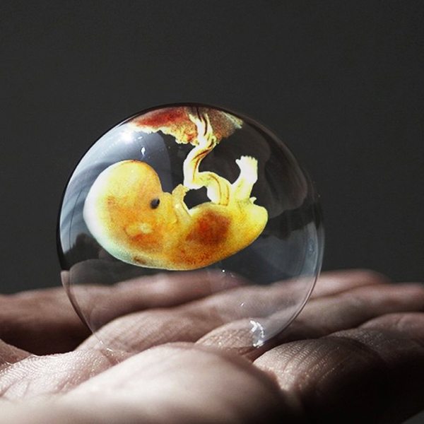 Embryon avenir