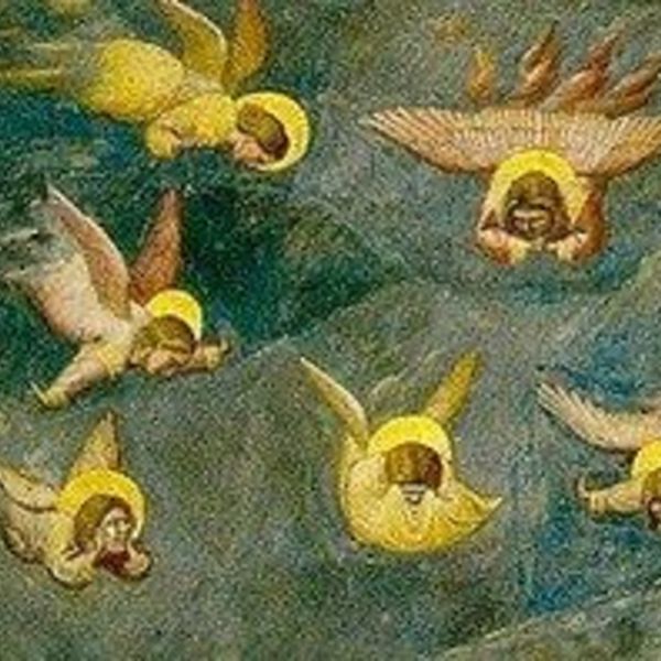 12   anges chapelle scrovegni