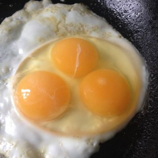 Triple yolk egg