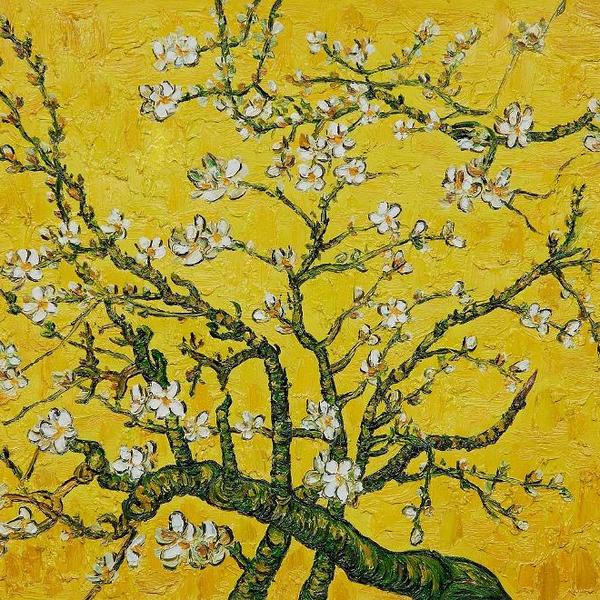 Branches of an almond tree in blossom yellow