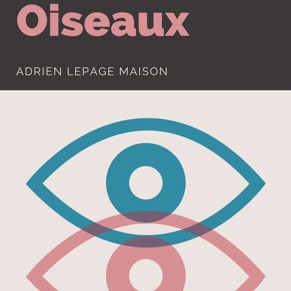 Copie de l'affaire oiseaux