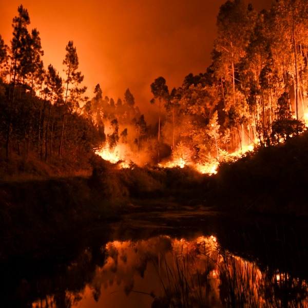 Le portugal decrete trois jours de deuil national apres les incendies de foret meurtriers